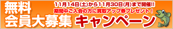 ̵��������罸�����ڡ���